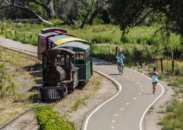 Visitor Train at Bio Park