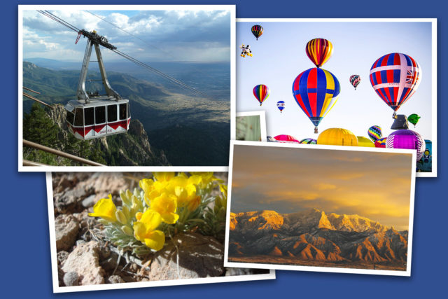 Collage of Landscapes in New Mexico