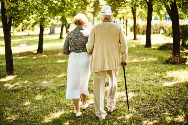 Elderly couple walking in the park